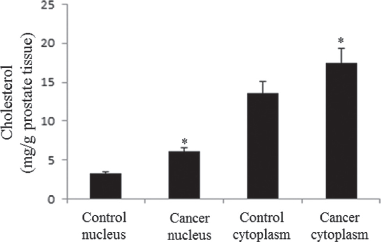 Measurement of cholesterol content. The concentration of cholesterol in cell nucleus and cytoplasm was found higher in cancer prostate tissue as compared to control prostate. The data show the mean±standard deviation (mg cholesterol/g prostate tissue) of 25 samples. *P<0.05 compared to respective control. Nuclear-cholesterol ratio in cancer prostate tissue to control prostate: 1.8.